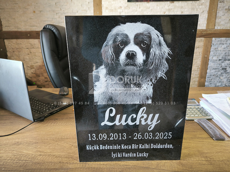 Evcil Hayvan (Kedi&Köpek) Mezar Taşı